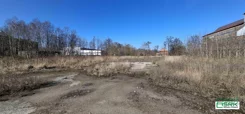 4/24/02/2026 - zdjęcie nr 1