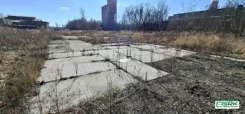 4/24/02/2026 - zdjęcie nr 3