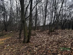 3/2/02/2026 - zdjęcie nr 0