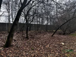 3/2/02/2026 - zdjęcie nr 4