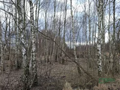 2/2/07/2023 - zdjęcie nr 1
