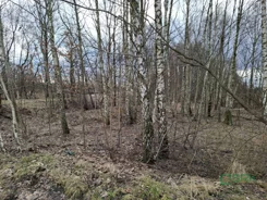 2/2/07/2023 - zdjęcie nr 2