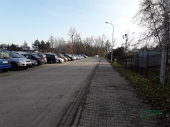 4/20/12/2019 - zdjęcie nr 3