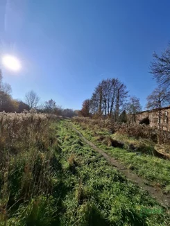 2/7/01/2026 - zdjęcie nr 2
