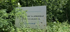 230-128/2025 - zdjęcie nr 3
