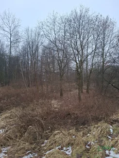 4/12/01/2026 - zdjęcie nr 0