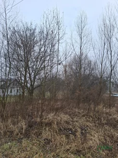 4/12/01/2026 - zdjęcie nr 3