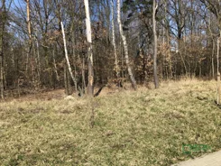 4/117/01/2020 - zdjęcie nr 2