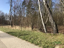 4/117/01/2020 - zdjęcie nr 3