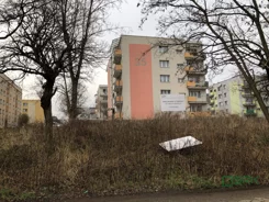 4/29/12/2019 - zdjęcie nr 0