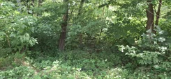 230-125/2025 - zdjęcie nr 2