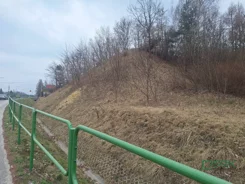 4/4/03/2026 - zdjęcie nr 2