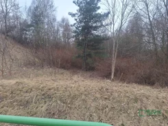 4/4/03/2026 - zdjęcie nr 3