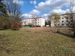 4/42/02/2023 - zdjęcie nr 3