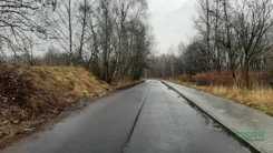 4/3/09/2021 - zdjęcie nr 3