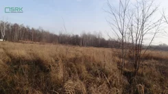 4/66/01/2020 - zdjęcie nr 0