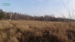 4/66/01/2020 - zdjęcie nr 3