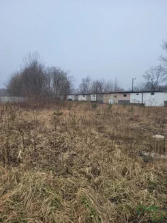 2/2/03/2026 - zdjęcie nr 1