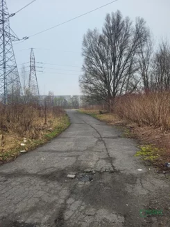 2/2/03/2026 - zdjęcie nr 3