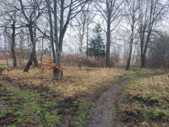 2/2/03/2026 - zdjęcie nr 4
