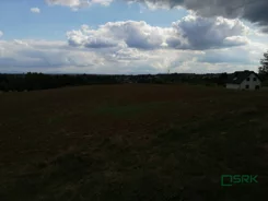 2/5/10/2019 - zdjęcie nr 0