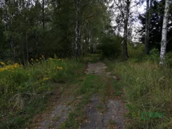 2/5/10/2019 - zdjęcie nr 3