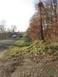 4/23/01/2026 - zdjęcie nr 3