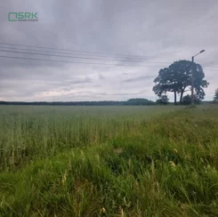 230-75/2024 - zdjęcie nr 2