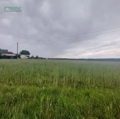 230-75/2024 - zdjęcie nr 3