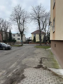 TTT-000001134 - zdjęcie nr 2