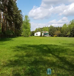 WIL548547 - zdjęcie nr 1