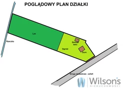 WIL800570 - zdjęcie nr 4