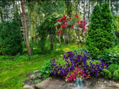 WIL335651 - zdjęcie nr 2