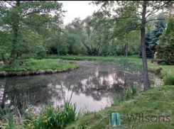 WIL335651 - zdjęcie nr 4