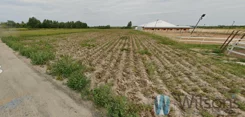 WIL871500 - zdjęcie nr 2