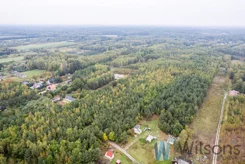 WIL833574 - zdjęcie nr 1