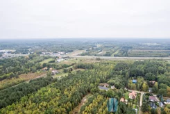 WIL833574 - zdjęcie nr 3