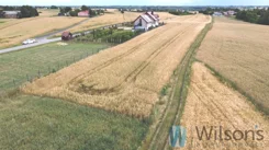 WIL134381 - zdjęcie nr 1