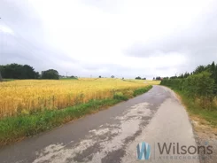 WIL339064 - zdjęcie nr 2