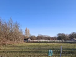WIL250502 - zdjęcie nr 1