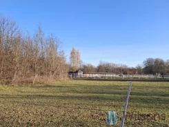 WIL250502 - zdjęcie nr 4