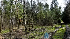 WIL537635 - zdjęcie nr 0