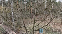 WIL815803 - zdjęcie nr 0