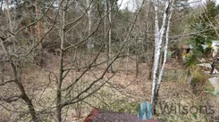 WIL815803 - zdjęcie nr 4