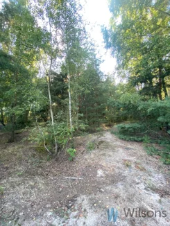 WIL321047 - zdjęcie nr 2