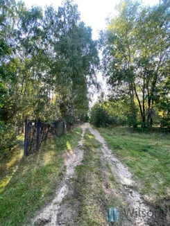 WIL565008 - zdjęcie nr 4