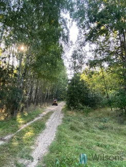WIL743335 - zdjęcie nr 0