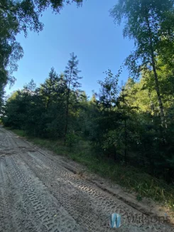 WIL743335 - zdjęcie nr 1