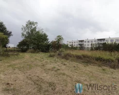 WIL356693 - zdjęcie nr 0