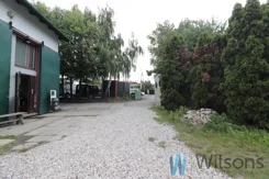 WIL356693 - zdjęcie nr 4